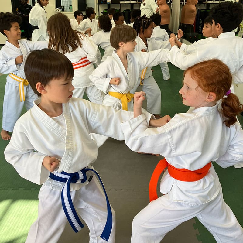 Kids Martial Arts Classes | New Visions Dojo